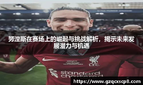 努涅斯在赛场上的崛起与挑战解析，揭示未来发展潜力与机遇