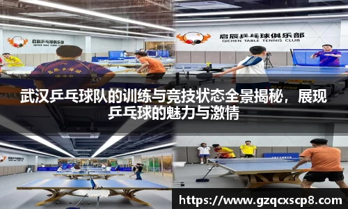 武汉乒乓球队的训练与竞技状态全景揭秘，展现乒乓球的魅力与激情