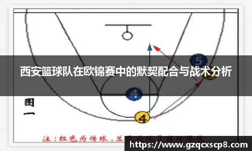 3377体育官网